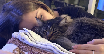 ophelia pet sitter à MONTPELLIER 34000_7