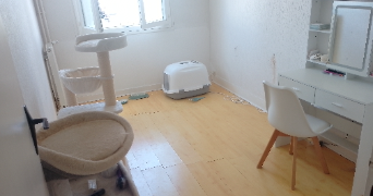 joey pet sitter à BREST 29200_1