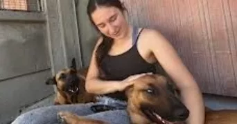 lila pet sitter à CEPET 31620