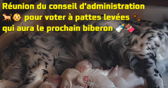 andrea pet sitter à PARIS 11 75011_3