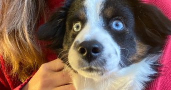 thaïs  pet sitter à Clermont-Ferrand 63000_3