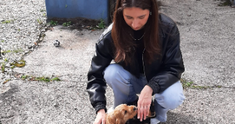 mélanie pet sitter à Saint Martin d'Hères 38400_2