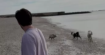 louis pet sitter à CHATELAILLON PLAGE 17340