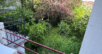 daniel pet sitter à VITRY SUR SEINE 94400_1