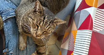 florine pet sitter à OROER 60510_3