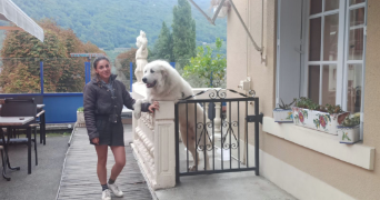 pauline pet sitter à BASSILLAC ET AUBEROCHE 24640_0