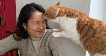 seoyoung pet sitter à NANTES 44000_2