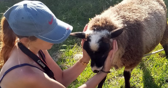 marion pet sitter à Colmar 68000_2