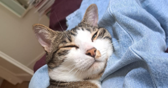 gabrielle pet sitter à PARIS 12 75012_2