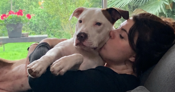 chloe pet sitter à ST PIERRE DU PERRAY 91280_0