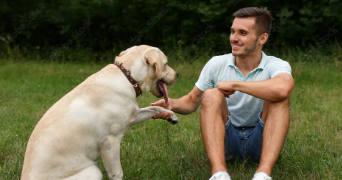 vincent pet sitter à SORGUES 84700_2