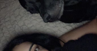 antoinette pet sitter à MEYLAN 38240_3