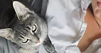 louanne pet sitter à RENNES 35000