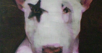 juliette pet sitter à PERPIGNAN 66000_2