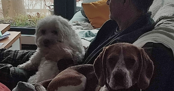 bertrand dog sitter à Achenheim 67204_1