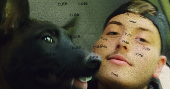 noah dog sitter à ST DIZIER 52100_0