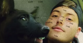 noah dog sitter à ST DIZIER 52100