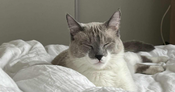 pauline pet sitter à FRANCHEVILLE 69340_3