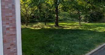 anju pet sitter à CLAMART 92140_2