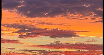 alicia pet sitter à RENNES 35700_2