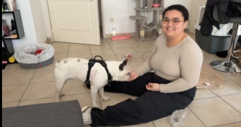 indra et meï-yan pet sitter à LYON 03 69003_9