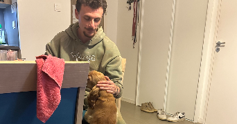 niels  pet sitter à OUISTREHAM 14150_7
