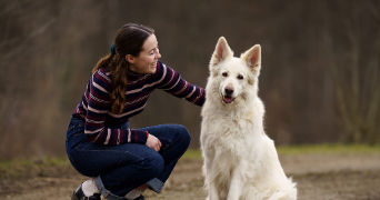 camille pet sitter à EGLINGEN 68720_1