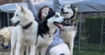 anais pet sitter à FOULAYRONNES 47510