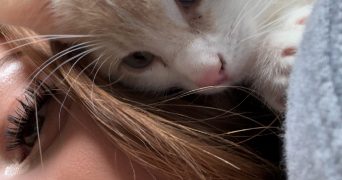 maylis pet sitter à MONTLOUIS SUR LOIRE 37270_0