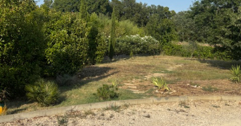 luz pet sitter à JUVIGNAC 34990_2