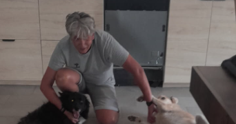 franck  pet sitter à Riorges 42153_10