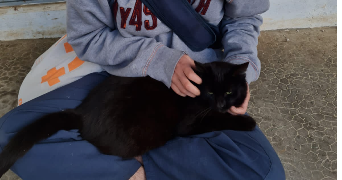 maya pet sitter à MONTPELLIER 34000_2
