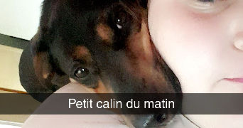 oceane pet sitter à ANGERS 49000_3