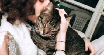 mélina pet sitter à PAMPELONNE 81190_2