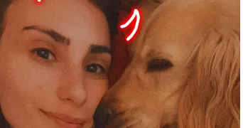 flavie pet sitter à LUCCIANA 20290