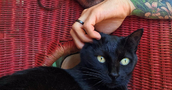 mickaël pet sitter à MARSEILLE 11 13011_2