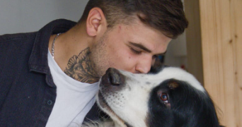 elea pet sitter à ST MESMIN 85700_0