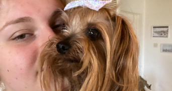 maëlys pet sitter à YVRAC 33370_1