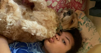 manihi pet sitter à TOULOUSE 31100_7