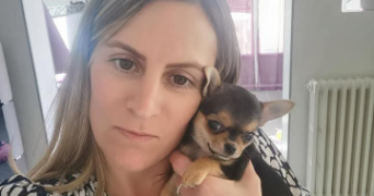 lucinda pet sitter à LE HAVRE 76600_0