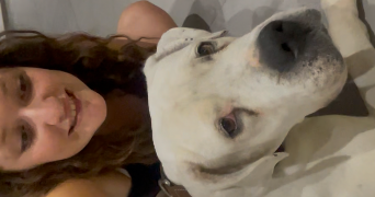 margot pet sitter à HYERES 83400_1