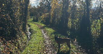 solene pet sitter à MINZIER 74270_9