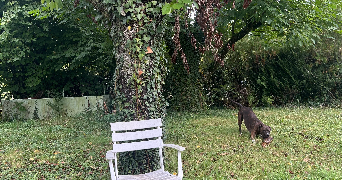 lucas pet sitter à CRY 89390_3