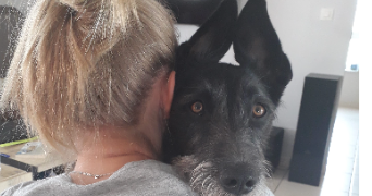 claire pet sitter à LAUTERBOURG 67630_1