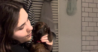 noemie pet sitter à TOULOUSE 31500_1