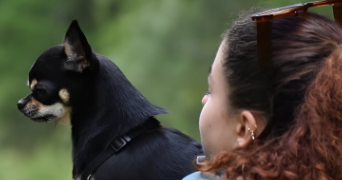 juliette dog sitter à ORLEANS 45000_1