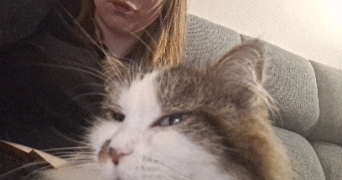 arwen pet sitter à RENNES 35000_1