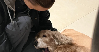 carla pet sitter à LYON 02 69002_4