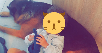 anais pet sitter à GAZERAN 78125_1