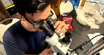 tom pet sitter à FONTVIEILLE 13990_2